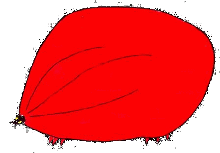 Dig