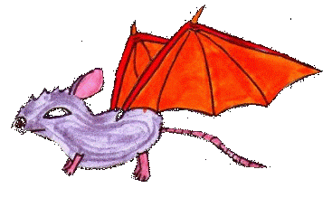 Mausdragus