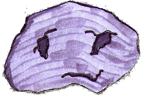 Steini